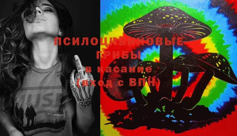 MEGA как войти  Касли  Псилоцибиновые грибы MAGIC MUSHROOMS 